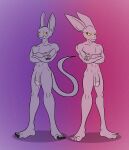  abstract_background anthro balls beerus claws crossed_arms domestic_cat dragon_ball dragon_ball_super duo dyspo eye_contact felid feline felis flaccid genitals hi_res lagomorph looking_at_another male mammal nude penis purple_body purple_skin yellow_eyes 
