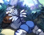  absurd_res anthro ass_up bandai_namco big_muscles black_nose blue_body blue_fur butt clothed clothing digimon digimon_(species) drks fangs fur grey_body grey_fur hi_res male muscular open_mouth solo tongue tongue_out weregarurumon white_body white_fur yellow_eyes 