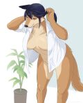  2021 4:5 anthro aoino_broome black_hair bottomless bottomless_female breasts brown_body brown_eyes brown_fur canid canine clothed clothing digital_media_(artwork) female fur hair hi_res kemono mammal mature_female multicolored_body multicolored_fur open_clothing open_shirt open_topwear plant plant_pot potted_plant shirt simple_background smile solo tan_body tan_fur topwear two_tone_body two_tone_fur white_background 