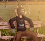  anthro asinus bench choko_(chokodonkey) chokodonkey cigarette clothed clothing donkey equid equine hi_res hoodie looking_away male mammal outside sarcasm sitting smoking solo topwear young 