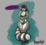  2021 anthro bikini biped bottomwear breasts clothing covering covering_self female greasymojo hi_res mammal markings nervous procyonid raccoon ring_(marking) ringtail solo swimwear tail_markings topwear 