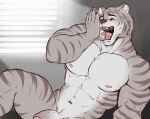  abs absurd_res anthro biceps casual_nudity eldiman fangs felid foreskin fur genitals hi_res male mammal muscular nipples open_mouth pantherine penis pink_nose solo teeth tiger tongue uvula white_body white_fur yawn 