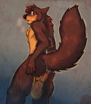  2021 akela_vincent anthro anus backsack balls big_balls blue_eyes blush breath_clouds brown_body brown_fur butt canid canine canis chastity_cage chastity_device digital_media_(artwork) fluffy fluffy_tail fur genitals hand_on_butt hi_res looking_at_viewer looking_back male mammal open_mouth raised_tail shocked shocked_expression shy simple_background solo standing tailtufts tan_body tan_fur text watermark whiskers wolf 