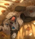  2020 blue_eyes canid canine canis cookie detailed_background feral fewtish food fur hair hi_res looking_at_viewer lying mammal on_back one_eye_closed open_mouth paws solo tongue wolf 