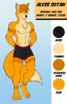  absurd_res aless-sotan anthro athletic athletic_male black_nose boxers_(clothing) brown_eartips brown_eyes brown_hair brown_stripes canid canine clothed clothing digital_drawing_(artwork) digital_media_(artwork) english_text fox full-length_portrait fur hair hi_res male mammal model_sheet nipples orange_body orange_fur orange_tail pink_nipples portrait pose smile solo stripes tan_body tan_fur tan_soles tan_tail_tip text theboundraccoon topless topless_male underwear 