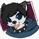  1:1 anthro black_hair blue_eyes clothing collar digital_media_(artwork) falvie gro_(grosshund) hair hoodie male mammal mephitid skunk solo tongue tongue_out topwear 