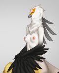  accipitriform aggressive_retsuko anthro avian beak beauty_mark bird black_body black_feathers breasts digital_media_(artwork) eyes_closed feathers female hi_res nipples non-mammal_breasts nude pink_nipples sanrio secretary_bird secretary_washimi shaded simple_background smile solo tasteful_nudity white_background white_body white_feathers woolrool 