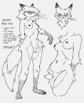  anthro arm_tuft black_and_white breasts canid canine cheek_tuft chest_tuft crotch_tuft digital_drawing_(artwork) digital_media_(artwork) english_text eyewear eyewear_only facial_tuft fangs female fox fur fur_tuft glasses glasses_only hair hi_res iroha_(maroon) kemono leg_tuft mammal maroon_(artist) model_sheet monochrome multicolored_body multicolored_fur navel navel_piercing nipples nude piercing red_fox reference_image simple_background solo standing text tuft whiskers 