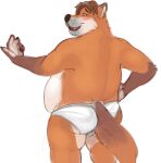  2016 anthro belly blush bulge butt canid canine clothing disney fox gideon_grey hi_res horrorbuns humanoid_hands male mammal orange_body overweight overweight_male simple_background solo underwear white_background zootopia 