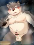  absurd_res anthro balls belly blush bodily_fluids canid canine canis censored domestic_dog erection fur genital_fluids genitals hi_res hot_spring humanoid_genitalia humanoid_penis lifewonders male mammal moritaka multicolored_body multicolored_fur musclegut navel nipples nude pecs penis precum scar tokyo_afterschool_summoners two_tone_body two_tone_fur video_games water zuboboz 