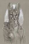  anthro breasts bust_portrait cadmiumtea clothed clothing ears_up felid feline female halo hi_res jewelry looking_at_viewer mammal monochrome necklace open_clothing open_shirt open_topwear portrait scar sepia serval shirt simple_background smile solo topwear traditional_media_(artwork) 