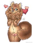  &lt;3 2021 anthro black_nose blue_eyes bow_(knot) breasts brown_body brown_fur brown_hair canid canine canis clothed clothing covering covering_breasts covering_chest covering_self domestic_dog english_text female fur hair heart_panties mammal michele_light navel panties pomeranian simple_background solo spitz text topless underwear white_background 