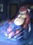  2019 anthro belly bottomwear canid canine clothing detailed_background disney eyes_closed fox furniture gideon_grey hi_res humanoid_hands inside k-9 male mammal overweight overweight_male shorts sitting sleeping sofa solo zootopia 
