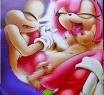  amy_rose lowres sonic sonic_the_hedgehog 