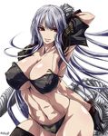  abs bad_id bad_pixiv_id bra breasts cleavage covered_nipples detached_sleeves gloves large_breasts lingerie long_hair madhatter_hello muscle panties red_eyes selvaria_bles senjou_no_valkyria senjou_no_valkyria_1 solo thighhighs underboob underwear underwear_only white_hair wide_hips 