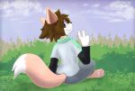  blue_eyes bottomwear brown_hair clothing cloud coffeefly dipstick_tail domestic_cat felid feline felis forest gesture grass hair hi_res long_sleeves looking_back male mammal markings outside pants pawpads paws plant shirt sitting sky smile solo tail_markings topwear tree v_sign 
