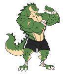  absurd_res anthro bottomwear claws clothed clothing crocodile crocodilian crocodylid darknaigart grey_body hi_res male muscular muscular_anthro muscular_male reptile scalie shorts simple_background solo topless white_background 