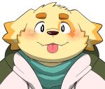  2021 anthro biped blush brown_body brown_nose canid canine canis clothing cu_sith_(tas) cute_fangs domestic_dog gayousi7 hi_res hoodie kemono lifewonders mammal overweight portrait scarf simple_background solo tokyo_afterschool_summoners tongue tongue_out topwear video_games white_background 