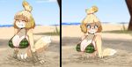  2021 accessory animal_crossing anthro beach bikini bikini_top blonde_hair blush breasts bubble canid canine canis clenched_teeth clothing dipstick_tail distressed domestic_dog eyebrows eyelashes eyes_closed female fur glistening green_eyes hair hair_accessory hair_tie isabelle_(animal_crossing) looking_down mammal markings mud navel nintendo oppaihobby outside partially_submerged quicksand sand seaside shih_tzu short_hair sinking solo struggling stuck swimwear tail_markings tan_body tan_fur teeth toy_dog under_boob video_games yellow_body yellow_fur 