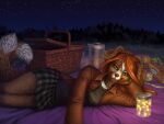  2021 4:3 anthro breasts brown_hair canid canine canis clothed clothing detailed_background digital_media_(artwork) domestic_dog eyebrows eyelashes female green_eyes hair mammal night outside sabretoothed_ermine sky smile star starry_sky 