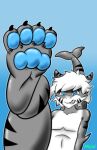  absurd_res anthro changed_(video_game) claws fangs feet fin foot_focus hair hi_res male myxi nude pawpads raised_leg smile solo tail_fin tigershark toe_claws toes white_hair 