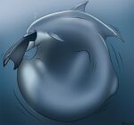  abdominal_bulge ambiguous_gender cetacean delphinoid dolorcin duo feral feral_pred feral_prey larger_prey mammal marine oceanic_dolphin oral_vore orca sea size_difference smaller_pred swallowing toothed_whale underwater vore water 