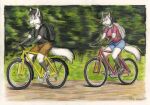  anthro backpack bicycle bottomwear brother brother_and_sister canid canine clothing duo female footwear forest fox fur hi_res male male/female mammal plant shirt shoes shorts sibling sister story syntech t-shirt teenager topwear traditional_media_(artwork) tree white_body white_fur young 