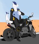  absurd_res anthro big_breasts big_hands biker black_outfit boots breast_grab breasts clothing desert digital_drawing_(artwork) digital_media_(artwork) female footwear hand_on_breast hi_res legendary_pok&eacute;mon long_neck lugia motorcycle nintendo outside pok&eacute;mon pok&eacute;mon_(species) road sky slightly_chubby solo spiked_tail spikes spikes_(anatomy) thatdumbbear unfinished unzipped_bodysuit vehicle video_games 