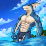  1:1 aircraft airplane anthro avian bird blue_body blue_eyes bulge city claws clothed clothing cloud cloudscape detailed_background dorsal_fin dripping_wet fin fish gills hi_res male marine mountain muscular muscular_male nipples outside pelvic_fins scar sea shark sky solo swimwear temere_artifex water 