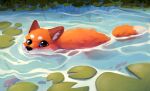  2020 absurd_res ambiguous_gender blue_eyes canid canine color_fox day detailed_background digital_media_(artwork) digital_painting_(artwork) dipstick_tail feral fish fox fur hi_res lily_pad looking_at_viewer mammal marine markings orange_body orange_fur outside partially_submerged plant shaded solo swimming tail_markings water white_body white_fur 