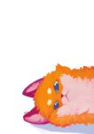  2019 ambiguous_gender blue_eyes canid canine color_fox fox fur looking_at_viewer lying mammal on_side orange_body orange_fur simple_background solo unimpressed white_background 