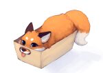  2020 absurd_res ambiguous_gender blep blue_eyes brown_body brown_fur canid canine color_fox container dipstick_tail feral fox fur hi_res if_it_fits_it_sits in_box in_container mammal markings orange_body orange_fur simple_background solo tail_markings tongue tongue_out white_background white_body white_fur 