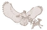  2021 anthro avian beak bird bovid caprine caraid clothed clothing digital_media_(artwork) duo feathered_wings feathers feet feral fingers goat hi_res hooves male mammal owl simple_background toes white_background wings 