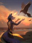  3:4 anthro avian biped bird blue_body blue_fur breasts brown_body brown_feathers canid canine canis cloud duo feathered_wings feathers female feral fur mammal nude outside sky standing star starry_sky sunset talons wings wolf xuan_(xuan_sirius) xuan_sirius yellow_body yellow_feathers 