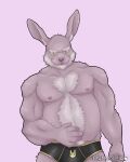  4:5 anthro barazoku belly clothing fauna_island hare hi_res lagomorph leporid male mammal mature_anthro mature_male rabbit sex solo underwear 