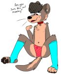  animal_genitalia anthro anus_peek balls balls_in_underwear blush clothing collar embarrassed footwear genitals gulonine male male/male mammal marten mustelid musteline nojgumm pawpads paws penis penis_tip ryan_(disambiguation) sheath shy socks solo thong toeless_footwear toeless_legwear toeless_socks translucent translucent_clothing underwear whiskers 