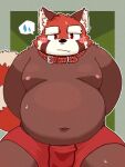  2021 3:4 ailurid anthro belly blush brown_body clothing collar hi_res kemono male mammal moobs navel nipples overweight overweight_male red_body red_panda shibuya_2810 simple_background sitting solo underwear white_body 