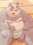  2021 ? anthro balls belly blush bodily_fluids genitals giant_panda humanoid_hands kemono male mammal meg_hoi moobs nipples overweight overweight_male sitting solo sweat towel ursid 