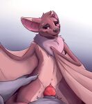  2019 animal_genitalia animal_penis anthro anthro_on_anthro anthro_penetrated anthro_penetrating anthro_penetrating_anthro bedroom_eyes blush bodily_fluids brown_body brown_fur canid canine canine_penis canis chest_tuft chiropteran clitoral_hood clitoris cowgirl_position cute_fangs digital_media_(artwork) duo erection female female_focus female_on_top female_penetrated first_person_view flat_chested freckles from_front_position fruit_slice_(yurusa) fur genital_fluids genitals hair head_tuft hi_res interspecies knot male male/female male_on_bottom male_penetrating male_penetrating_female mammal membrane_(anatomy) membranous_wings narrowed_eyes navel neck_tuft nude on_bottom on_top open_mouth penetration penile penile_penetration penis penis_in_pussy pteropodid purple_eyes pussy pussy_juice seductive sex simple_background smile tuft vaginal vaginal_penetration wings wolf yurusa 
