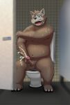  2021 anthro bathroom blush bodily_fluids brown_body canid canine cum detailed_background ejaculation genital_fluids genitals humanoid_genitalia humanoid_hands humanoid_penis kemono kiyo male mammal overweight overweight_male penis sitting solo sweat 