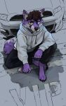  2021 anthro barefoot beverage biped bottomwear brown_hair canid canine car clothed clothing detailed_background facial_piercing feet fur hair heterochromia hi_res holding_beverage holding_object hoodie looking_at_viewer male mammal mawfulme nose_piercing nose_ring piercing purple_body purple_eyes purple_fur solo topwear vehicle yellow_eyes 