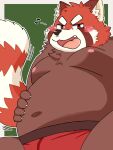  2021 3:4 ailurid anthro belly blush brown_body clothing hi_res kemono male mammal moobs navel nipples overweight overweight_male red_panda shibuya_2810 simple_background solo underwear 