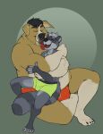  2021 anthro belly black_nose brown_body bulge canid canine canis clothing domestic_dog duo embrace eyes_closed grey_body horrorbuns hug humanoid_hands licking male male/male mammal overweight overweight_male procyonid raccoon simple_background sitting tongue tongue_out underwear 