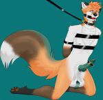 absurd_res anthro astroviks ball_gag balls bdsm big_balls canid canine cock_and_ball_torture collar fox gag genital_torture genitals hi_res huge_balls hyper hyper_balls hyper_genitalia kneeling knot leash leash_and_collar male mammal penile penis restraints sex_toy solo vibrator vibrator_on_penis 