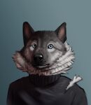  anthro blue_eyes bust_portrait canid canine canis cheek_tuft clothed clothing domestic_dog facial_tuft fluffy hi_res inner_ear_fluff looking_at_viewer male mammal markings neck_tuft portrait sepulte simple_background solo tuft turtleneck whisker_markings whiskers 