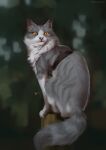  2021 ambiguous_gender dannonitan digital_media_(artwork) domestic_cat felid feline felis feral fur grey_body grey_fur hi_res mammal orange_eyes paws sitting solo white_body white_fur 