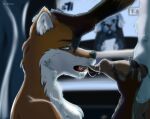  anatomically_correct anatomically_correct_genitalia anatomically_correct_penis animal_genitalia animal_penis anthro background_character balls blue_eyes bodily_fluids brown_body brown_fur canid canine canine_penis canis ckvlso cum domestic_dog duo erection eyelashes fellatio female fox fur genital_fluids genitals holding_head holding_penis looking_at_genitalia looking_at_penis male male/female mammal oral orange_body orange_fur penile penis precum sex solo_focus tongue unknown_artist white_body white_fur 