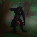  1:1 absurd_res animal_genitalia animal_penis anthro canid canine canine_penis canis forest forest_background genitals hi_res knot male mammal nature nature_background penis plant solo tree were werecanid werecanine werewolf wolf wolfric zc 