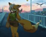  ambient_bird anthro avian bird bottomwear canid canine choker city cityscape clothing evening female fox handbag hi_res jewelry kaeritai07 liina_(aruurara) looking_at_viewer mammal necklace shorts solo walkway 