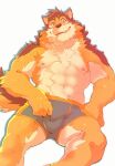  abs absurd_res anthro barrel_(live-a-hero) bulge canid canine canis clothing heylaw21 hi_res lifewonders live-a-hero looking_at_viewer male mammal muscular muscular_anthro muscular_male nipples pecs solo underwear video_games wolf 